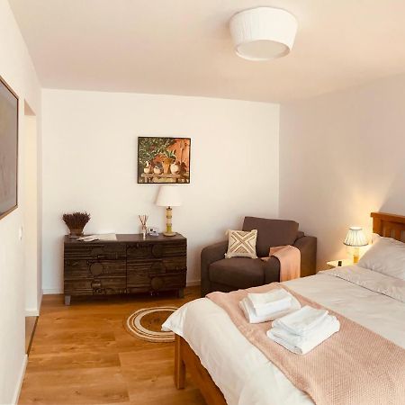 Warm And Cozy Studio Flat Near Straja Uricani  エクステリア 写真