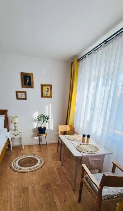 Warm And Cozy Studio Flat Near Straja Uricani  エクステリア 写真